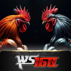 ws168 - skybet138